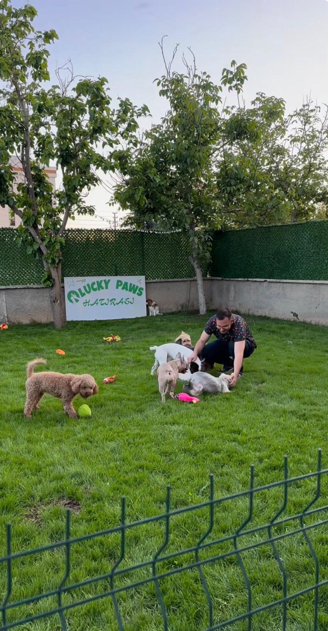 Lucky Paws Bahçe