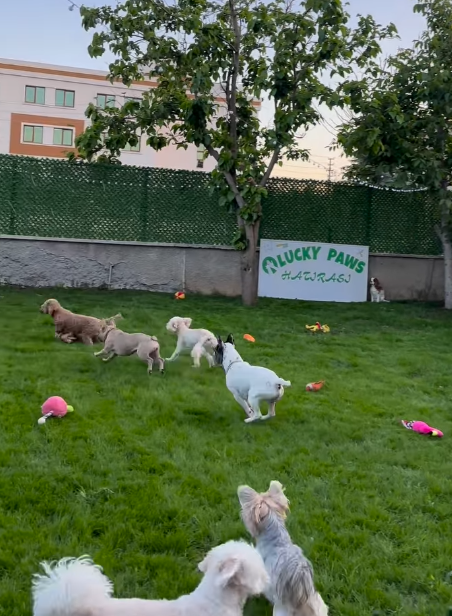 Oyun ve Sosyalleşme
